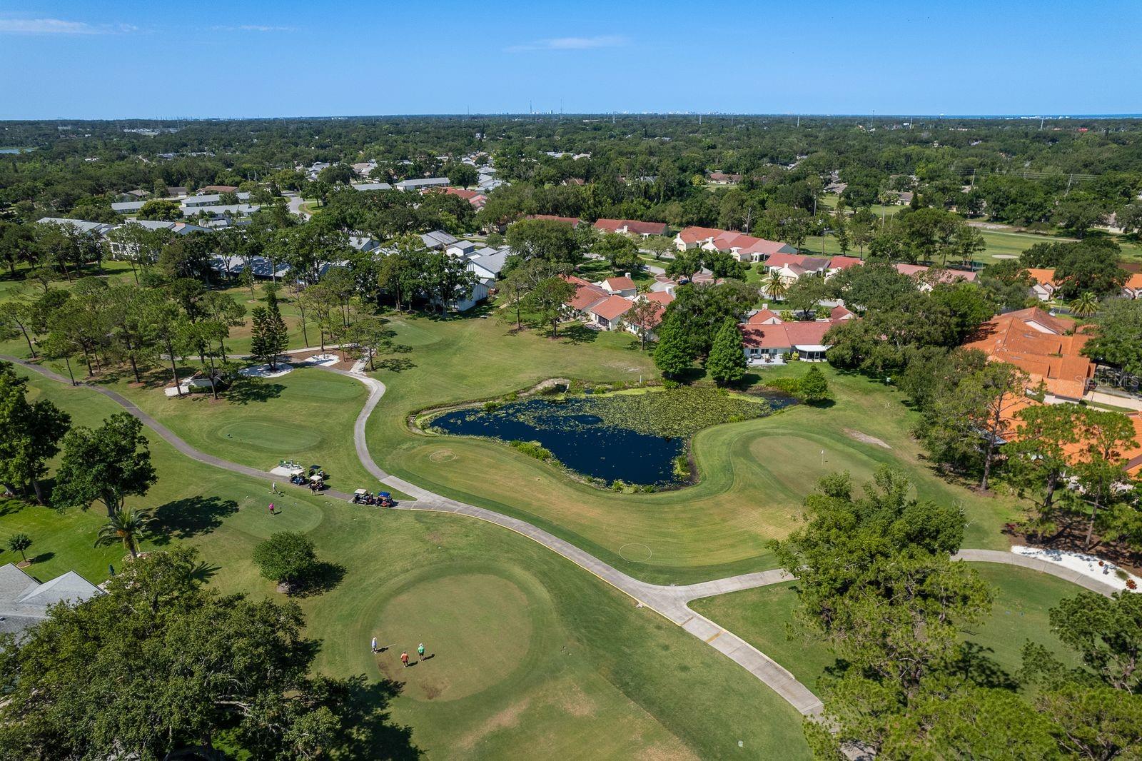 Residential in PALM HARBOR