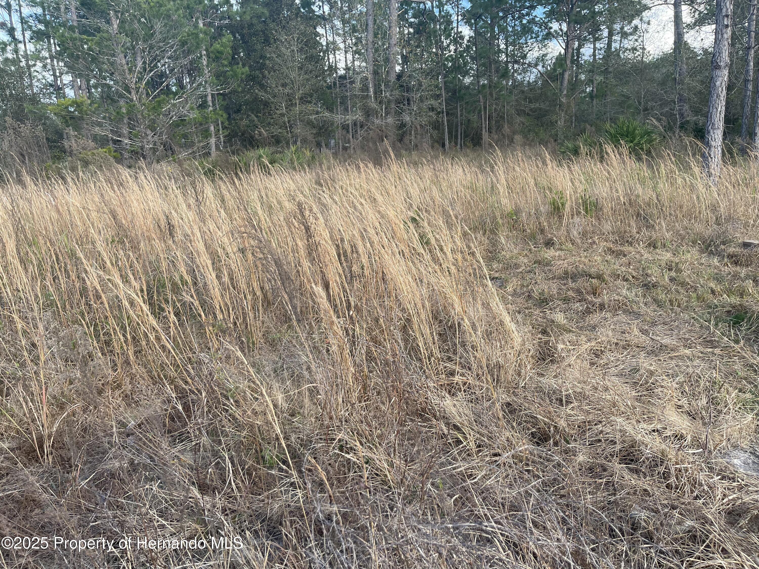 Land in Brooksville 2