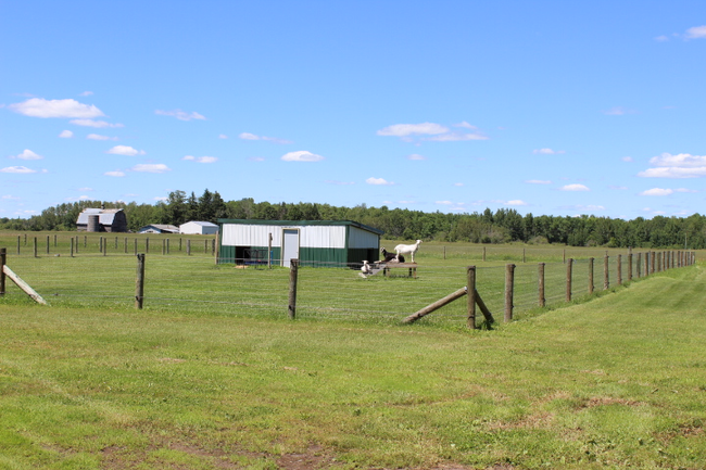 48121 270 Th Ave, House other with 3 bedrooms, 2 bathrooms and null parking in Palisade MN | Image 41