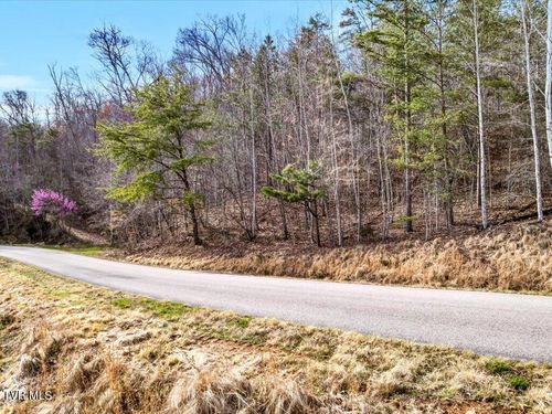 Lot 553 Whistle Valley Rd, New Tazewell, TN, 37825-5395 | Card Image