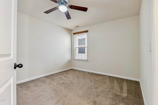 CY1A4056 | Image 27