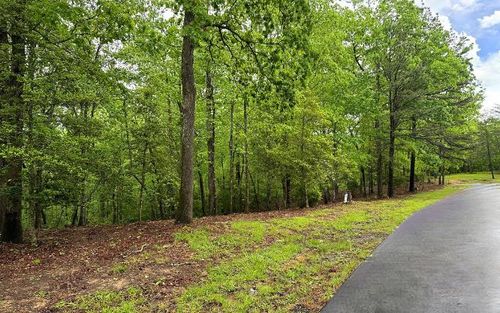 LOT 6 Brasstown Trails, Brasstown, NC, 28909 | Card Image