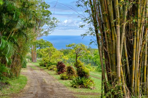 55-2251 Kynnersley, HAWI, HI, 96719 | Card Image