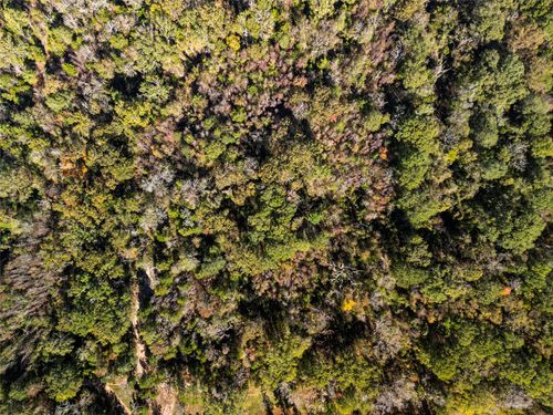 TBD Vz County Road 4815, Chandler, TX, 75758 | Card Image