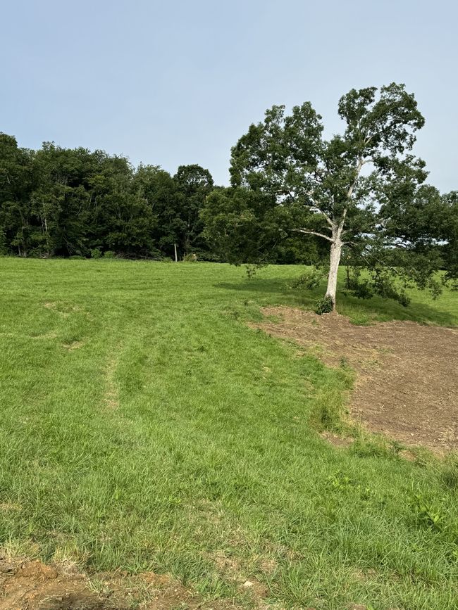 0 Oak Grove Rd, Home with 0 bedrooms, 0 bathrooms and null parking in Red Boiling Springs TN | Image 8