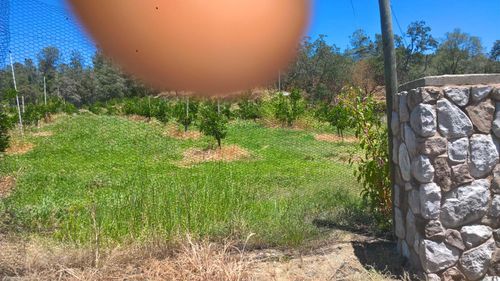 741 Eclipse Mine Way, Auburn, CA, 95603 | Card Image