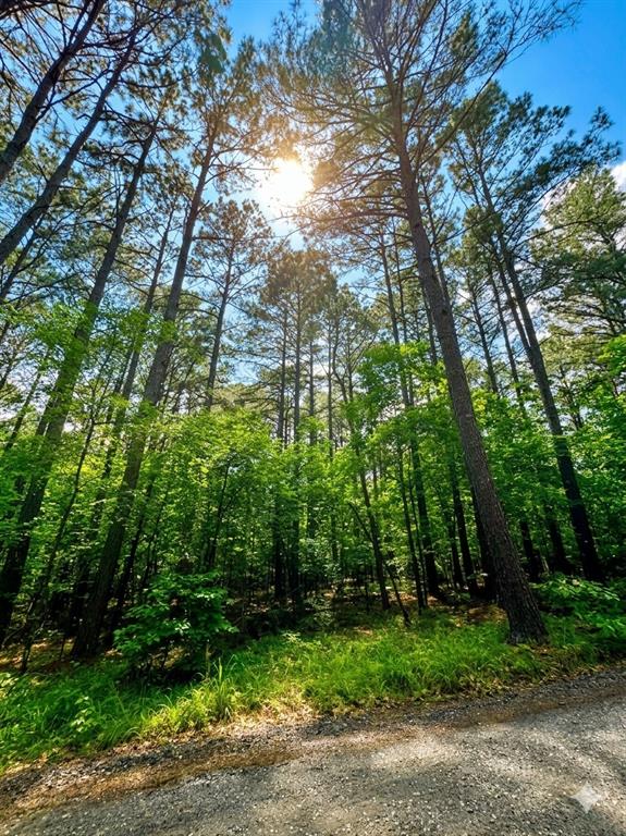Land in Broken Bow 4