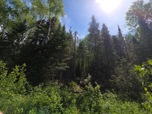 lot-3-ON Solberg Lake Rd E, Phillips, WI, 54555 | Card Image