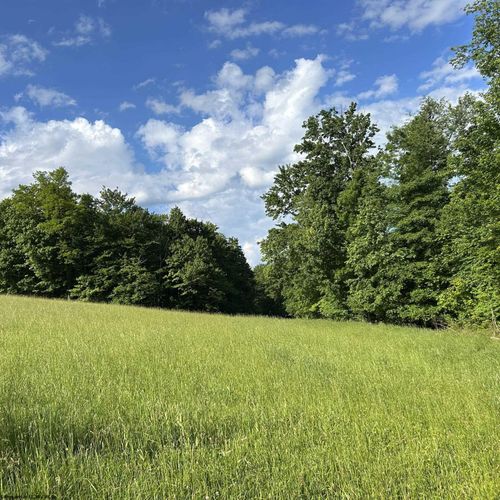 5400 Brandonville Pike, Terra Alta, WV, 26764 | Card Image