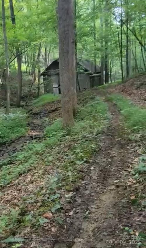 295 Bennett Branch Rd, Green Mountain, NC, 28740-5506 | Card Image