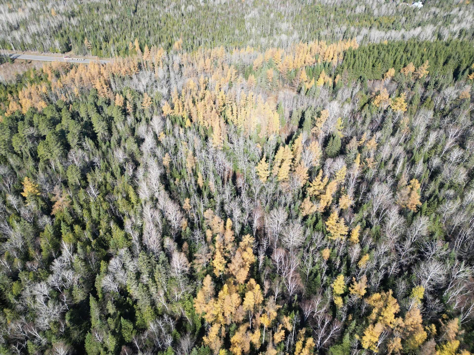 Land in Unknown 3