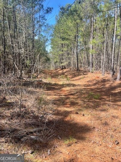 LOT 7 Shiloh Road, Home with 0 bedrooms, 0 bathrooms and null parking in Greensboro GA | Image 1