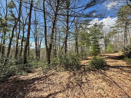Lot 73.9 Pine Road, Lumberland, NY, 12737 | Card Image