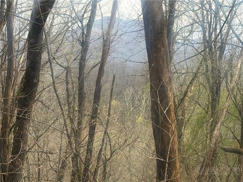 TBD Lot 48 Rainbow Ridge, Zionville, NC, 28698 | Card Image