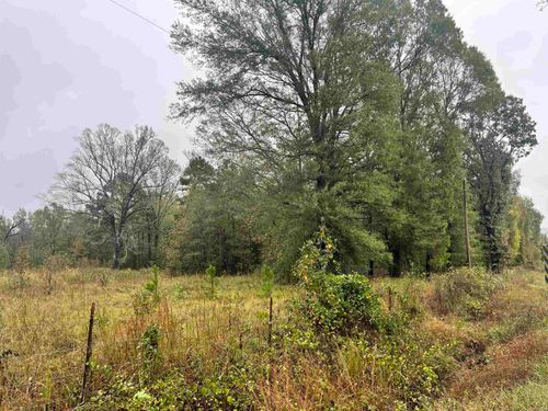 TBD Grant County 4, Leola, AR, 72084 | Card Image