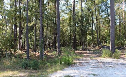230 Appleby Ave E, Estill, SC, 29918 | Card Image