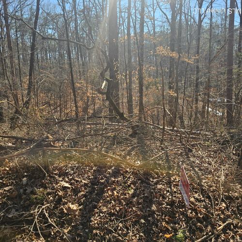 1204 Lake Breeze Drive, Myrtle, MS, 38650 | Card Image