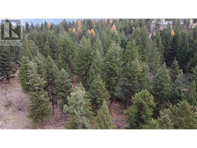 1910 Hulme Creek Rd, House other with 3 bedrooms, 2 bathrooms and 1 parking in Kootenay Boundary BC | Image 46