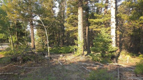 5768 Clawson Rd, Fort Garland, CO, 81133 | Card Image