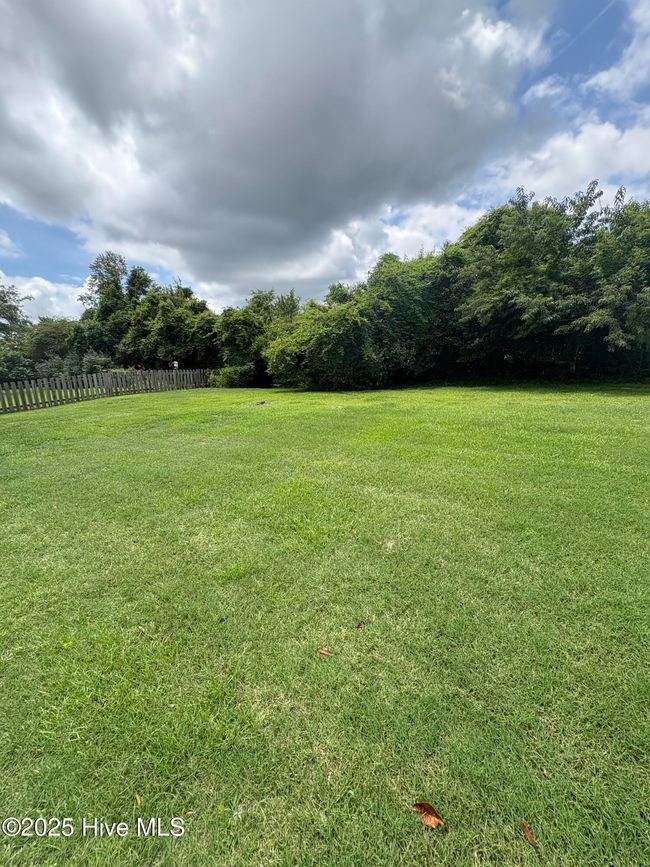 121 Mulberry Cir, House other with 4 bedrooms, 3 bathrooms and 2 parking in Hampstead NC | Image 26