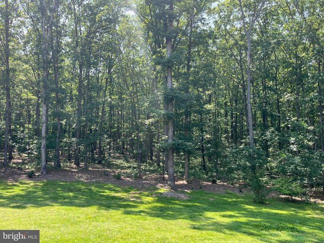 11459 Bristersburg Rd, House other with 5 bedrooms, 4 bathrooms and null parking in CATLETT VA | Image 7