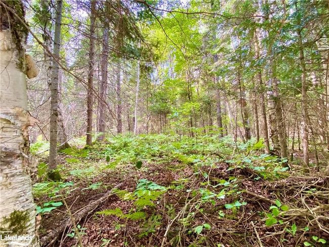 0 Concession 10 And 11 Road, Home with 0 bedrooms, 0 bathrooms and null parking in Parry Sound, Unorganized, Centre Part ON | Image 12