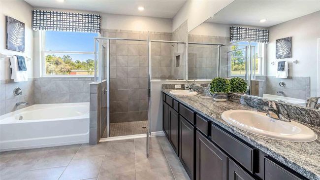 33989 Field Maple Loop, House other with 4 bedrooms, 4 bathrooms and null parking in WESLEY CHAPEL FL | Image 4