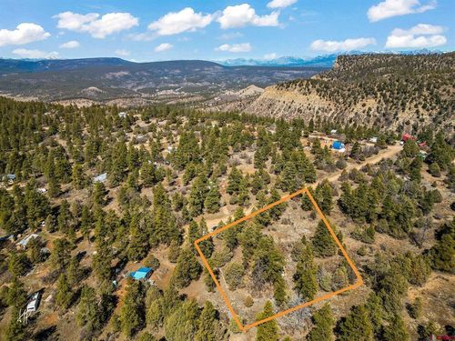 116 Hakala Ct, Pagosa Springs, CO, 81147-8033 | Card Image