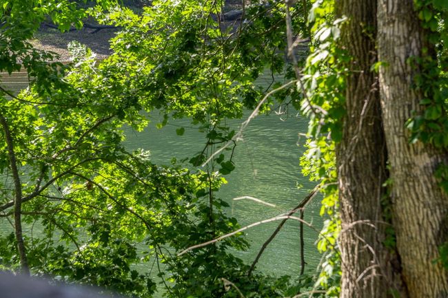 440 Fall Creek Drive #7 (42) | Image 46
