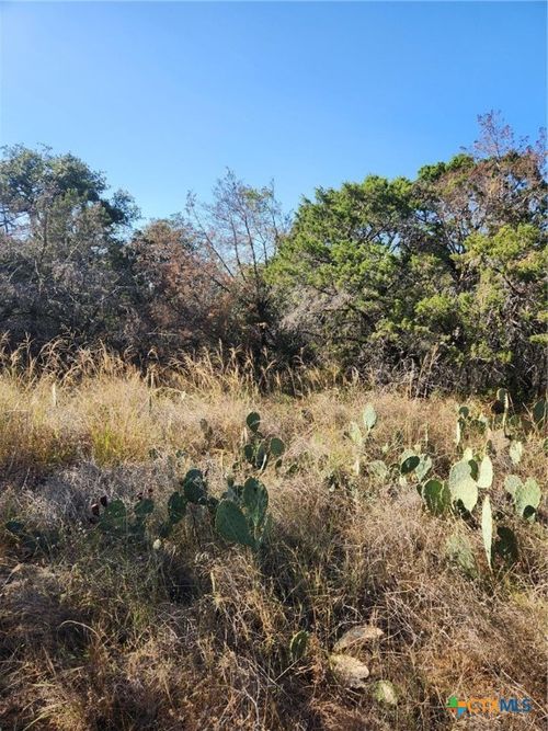 TBD Stellar Dr, Burnet, TX, 78611 | Card Image