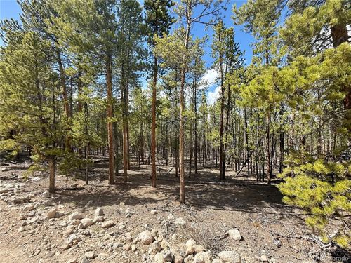 1127 Sequoia Dr, Leadville, CO, 80461 | Card Image