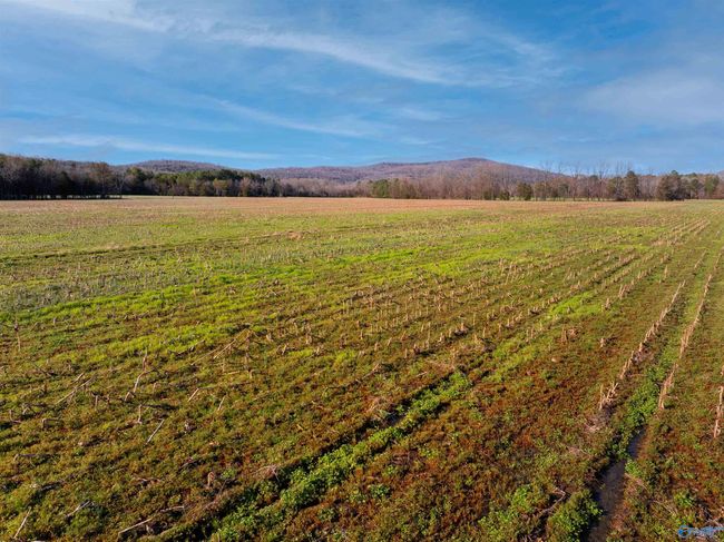 50 Acres Hurt St, Home with 0 bedrooms, 0 bathrooms and null parking in Hollywood AL | Image 8