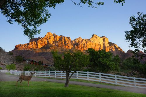 2428 Zion Park Blvd, Springdale, UT, 84767 | Card Image