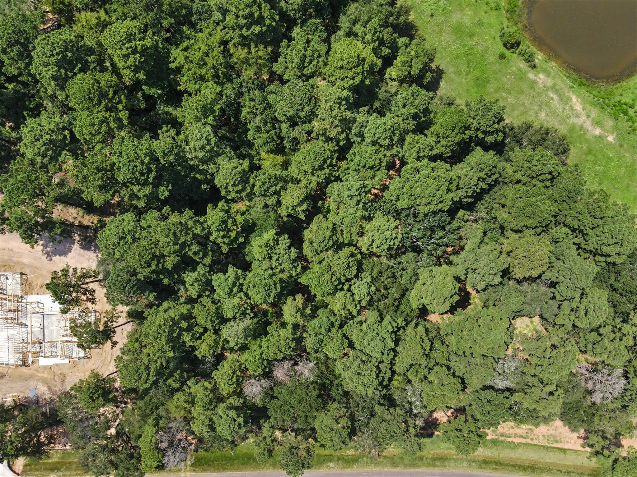 Land in Plantersville 5
