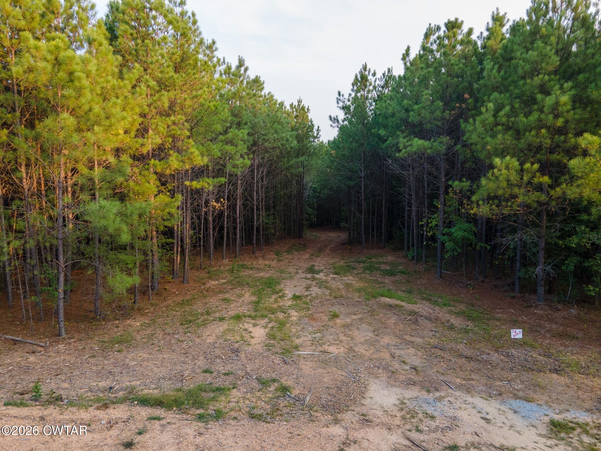 Land in Hohenwald 2