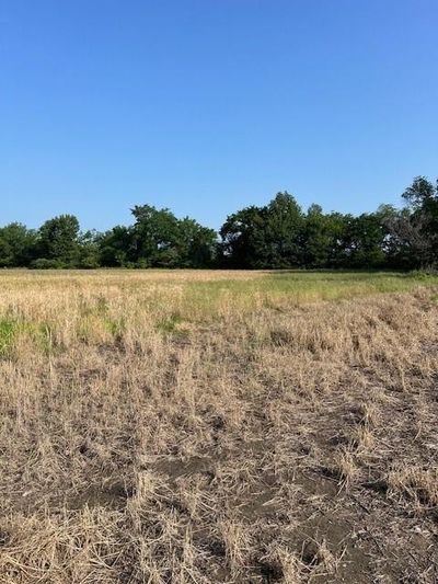 View of local wilderness featuring a rural view | Image 3