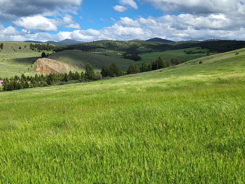 65 Gold Coin Rd, Hall, MT, 59837-9720 | Card Image