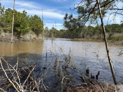 0 Cr 2343 &Amp; Cr 2339, Douglassville, TX, 75560 | Card Image