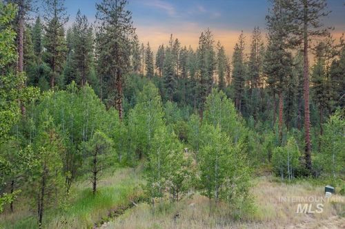12 Shaw Gulch Road, Idaho City, ID, 83631 | Card Image