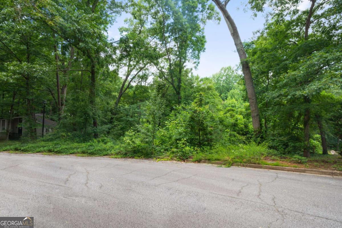 Land in Douglasville 3