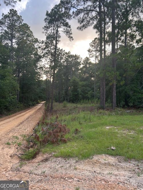 0 Edenfield Rd, TWIN CITY, GA, 30471 | Card Image