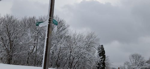 14405 Manning St, Detroit, MI, 48205-1835 | Card Image