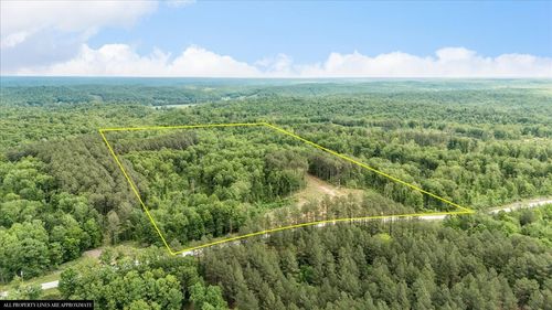 335 Bear Hollow Dr, Waverly, TN, 37185 | Card Image