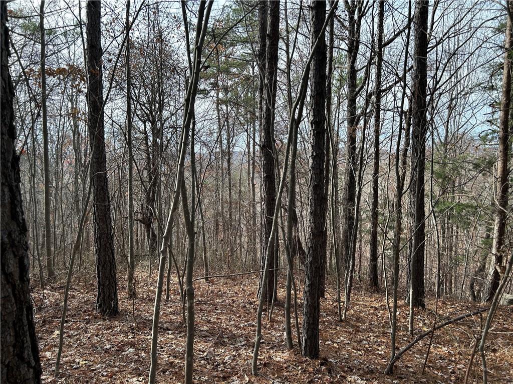 Land in Baldwin 5
