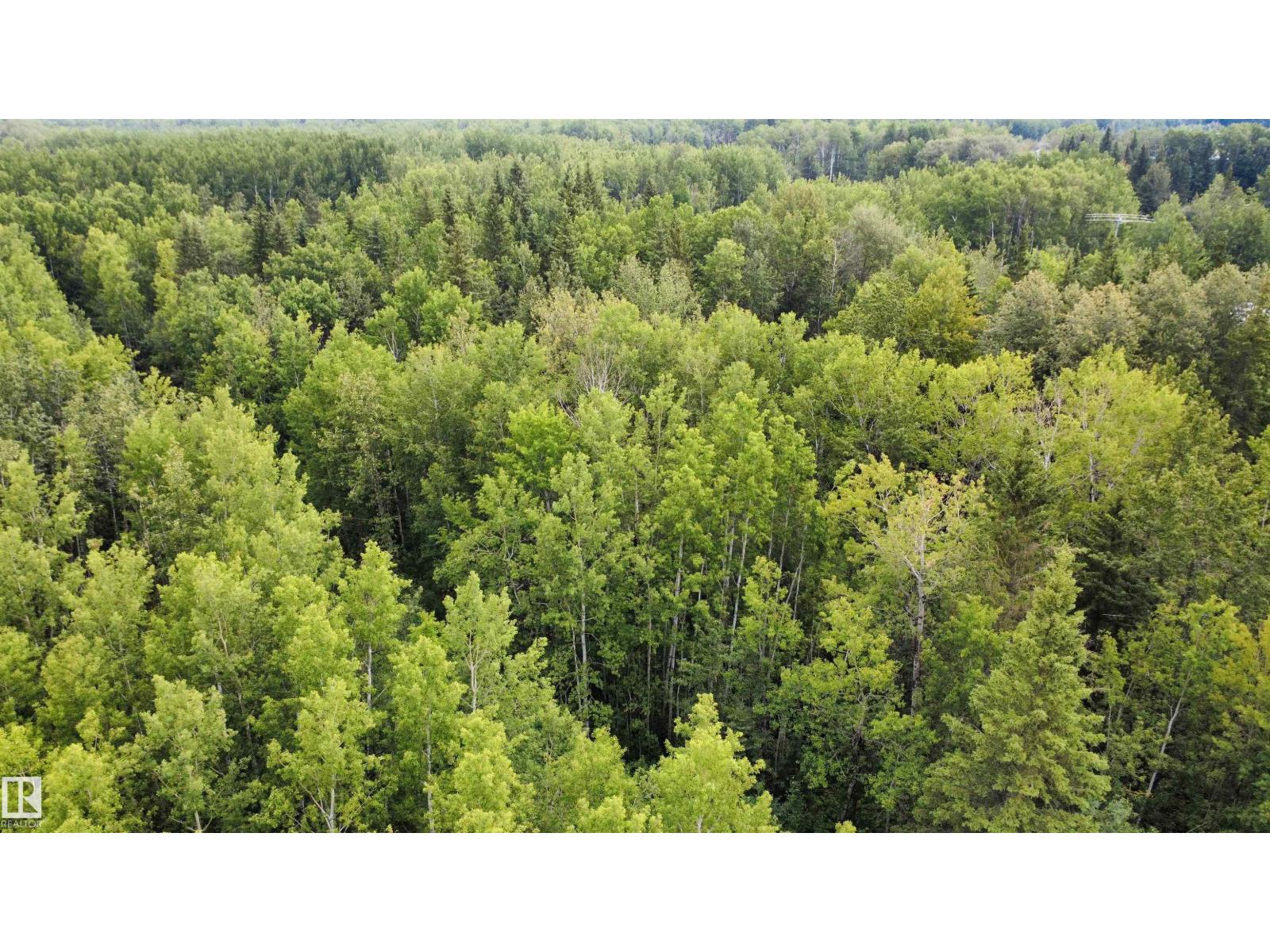 Land in Rural Athabasca County 5
