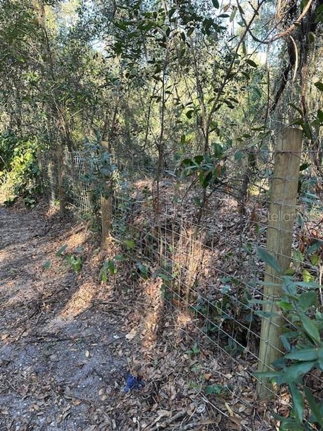 1918 Mountain Lake Cutoff Rd, House other with 6 bedrooms, 4 bathrooms and null parking in LAKE WALES FL | Image 32