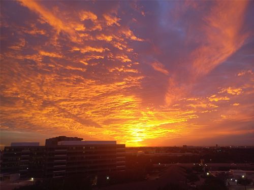 apt-1125-5200 Keller Springs Rd, Dallas, TX, 75248-2750 | Card Image