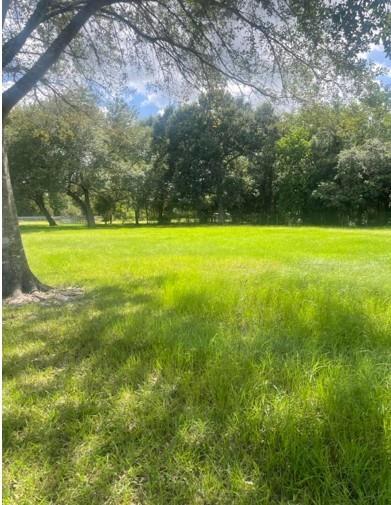 Land in Alvin 3