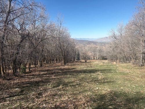 9-1040 S Pineview Dr, Woodland Hills, UT, 84653-3001 | Card Image