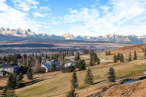 {{alt}} | Card Image